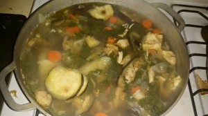 chicken soup_n