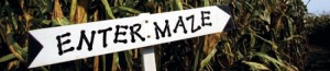 cropped-What-to-know-about-Corn-Maze.jpg