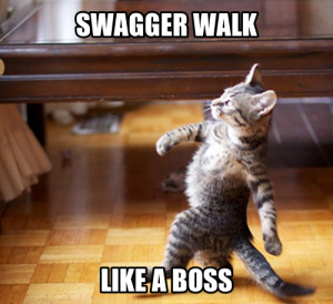 swagger walk meme